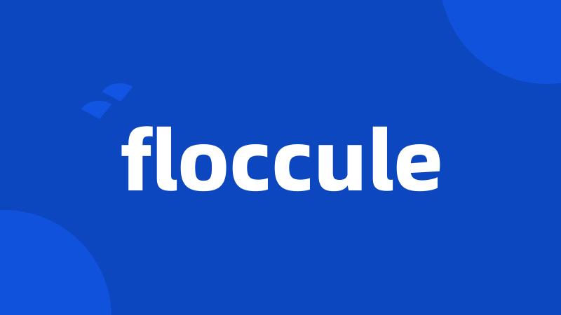 floccule