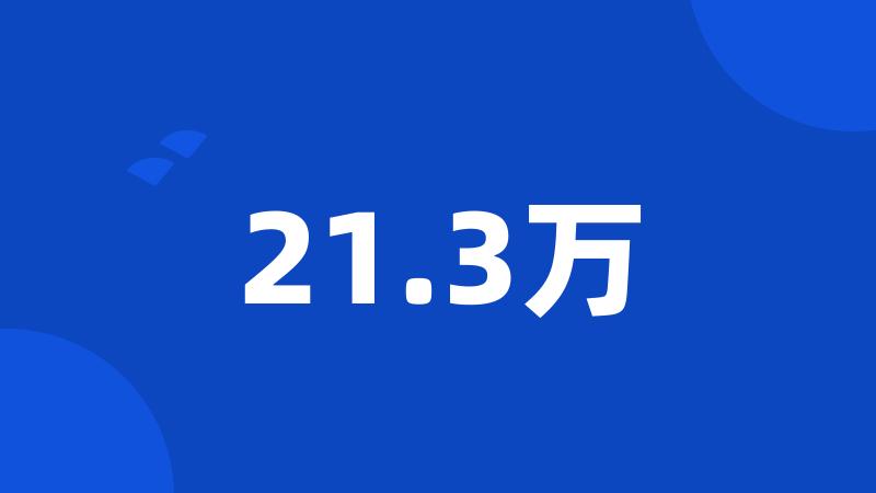 21.3万