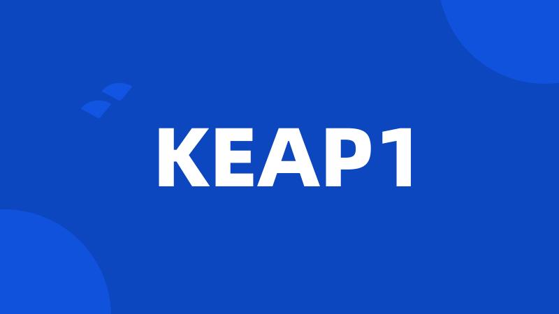 KEAP1