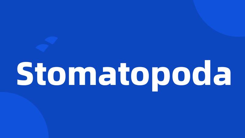 Stomatopoda