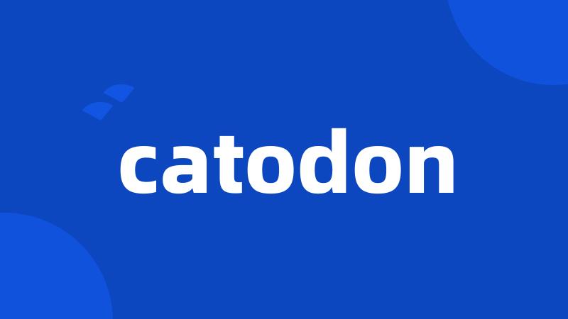 catodon