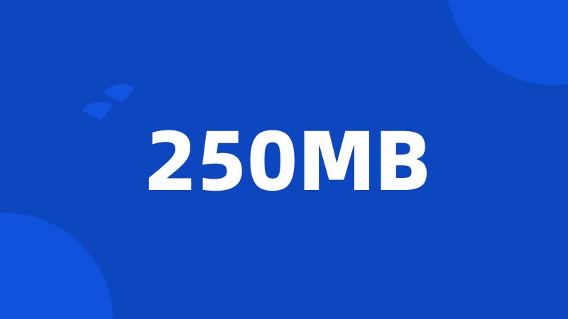 250MB