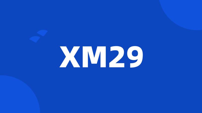 XM29