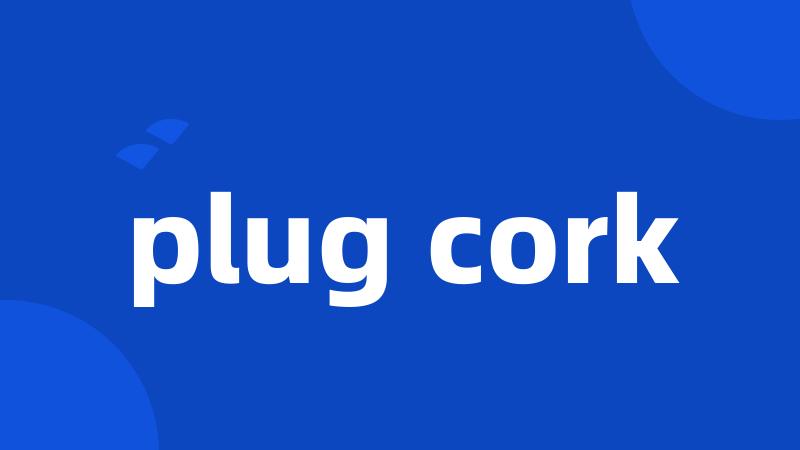 plug cork