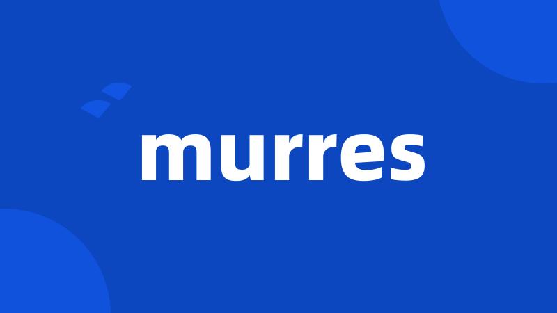 murres