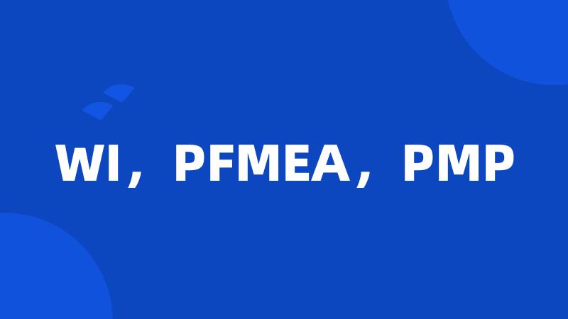 WI，PFMEA，PMP