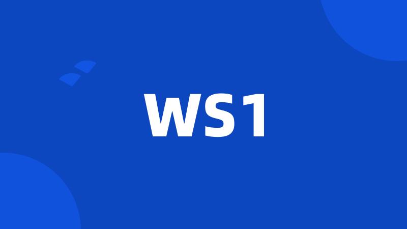 WS1