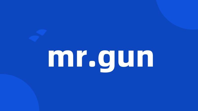 mr.gun