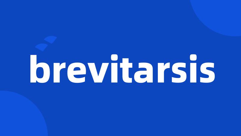 brevitarsis