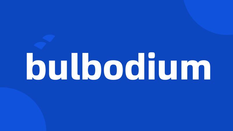 bulbodium