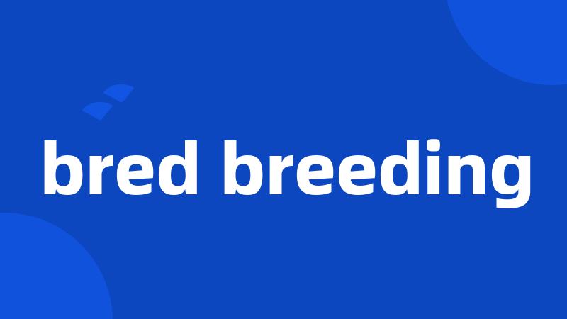 bred breeding