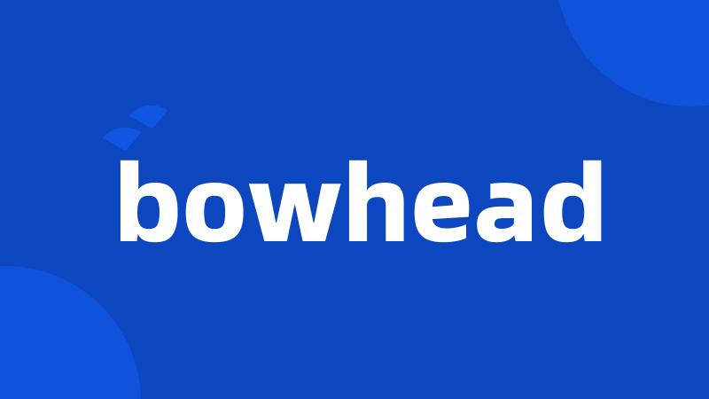 bowhead