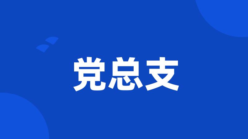 党总支