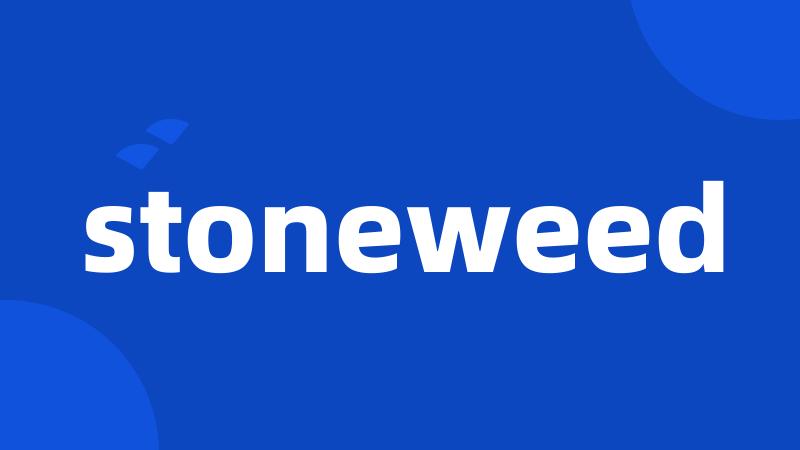 stoneweed