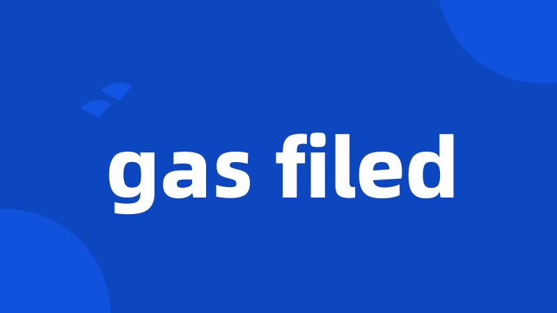gas filed