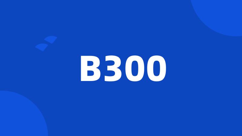 B300