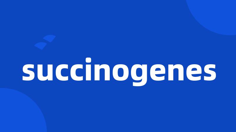 succinogenes