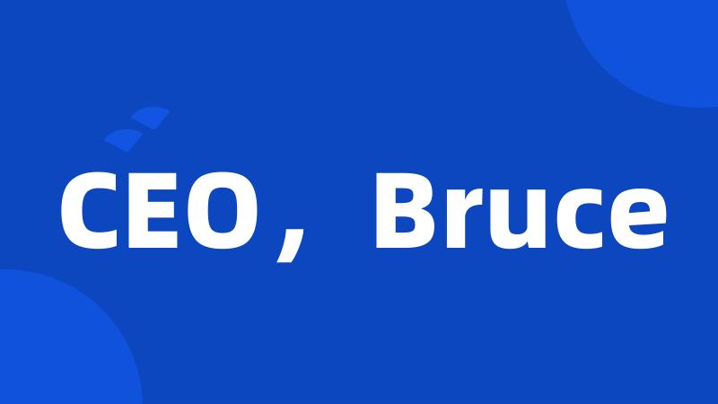 CEO，Bruce