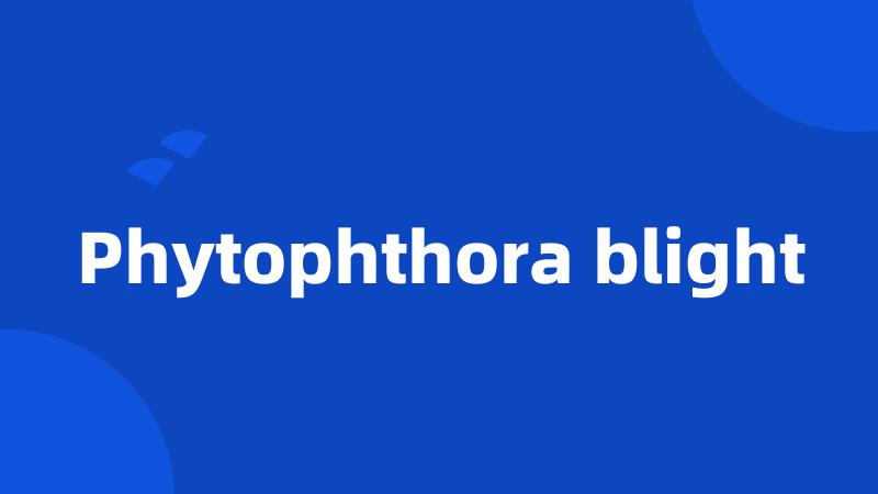 Phytophthora blight