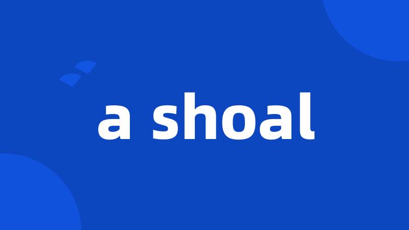 a shoal