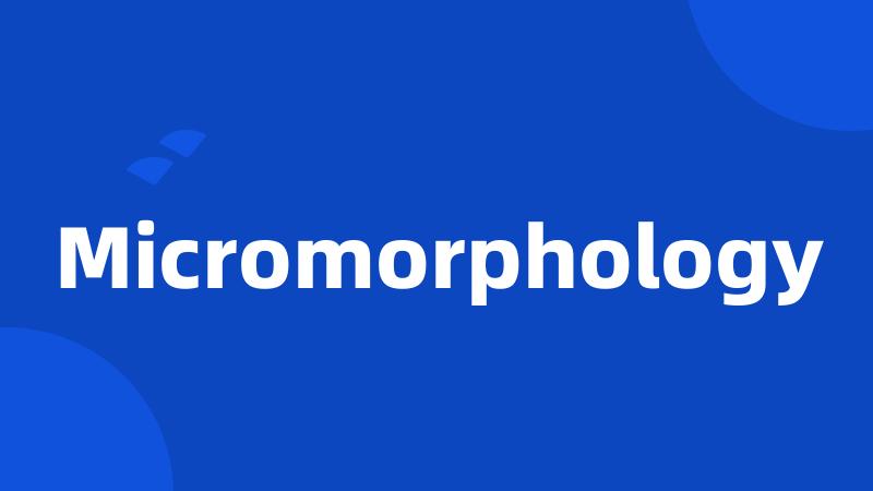 Micromorphology