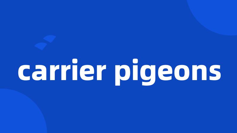 carrier pigeons