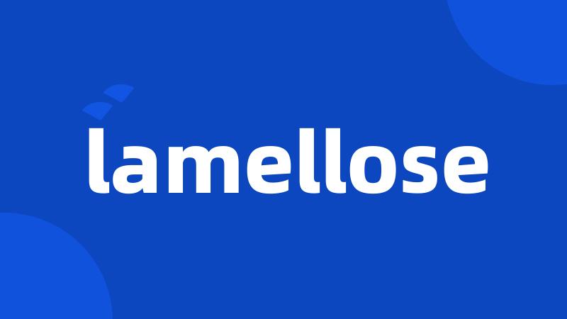 lamellose