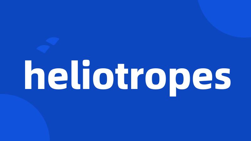 heliotropes