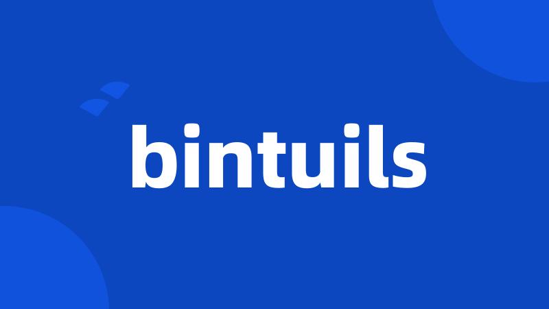 bintuils