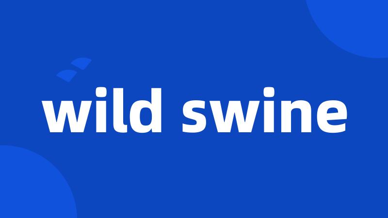 wild swine