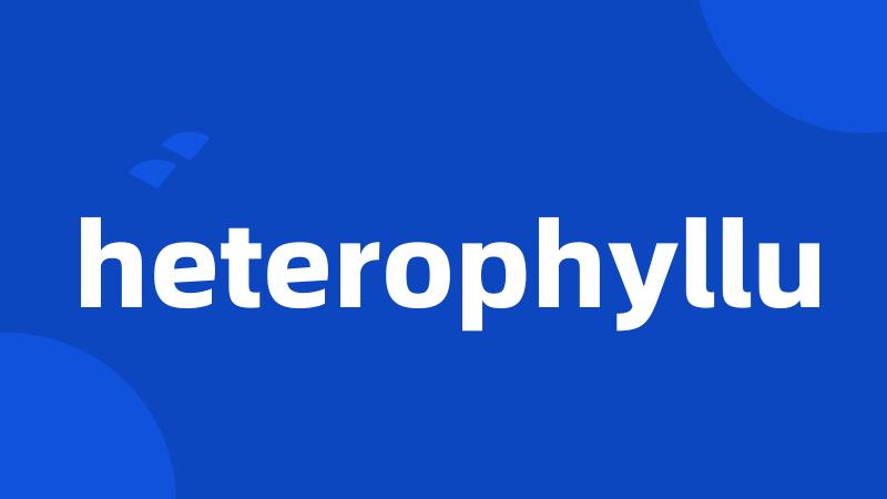 heterophyllu