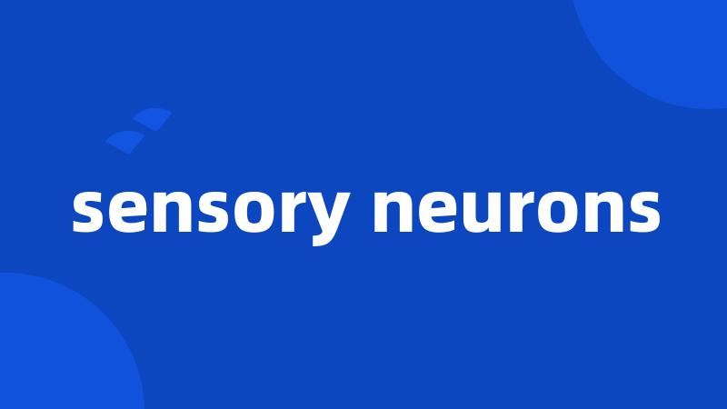 sensory neurons