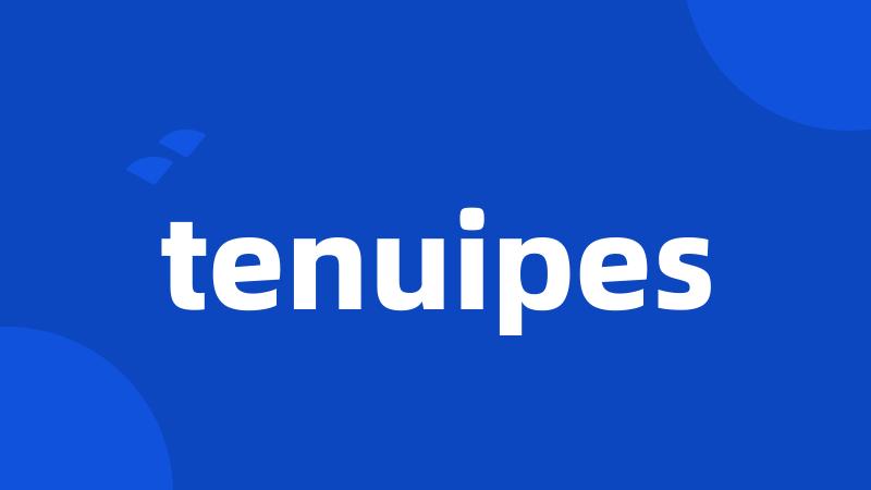 tenuipes