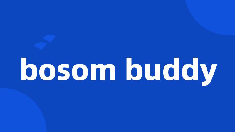 bosom buddy