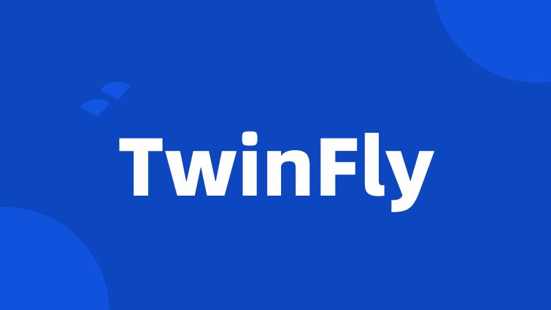 TwinFly