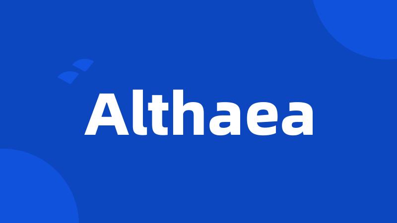 Althaea