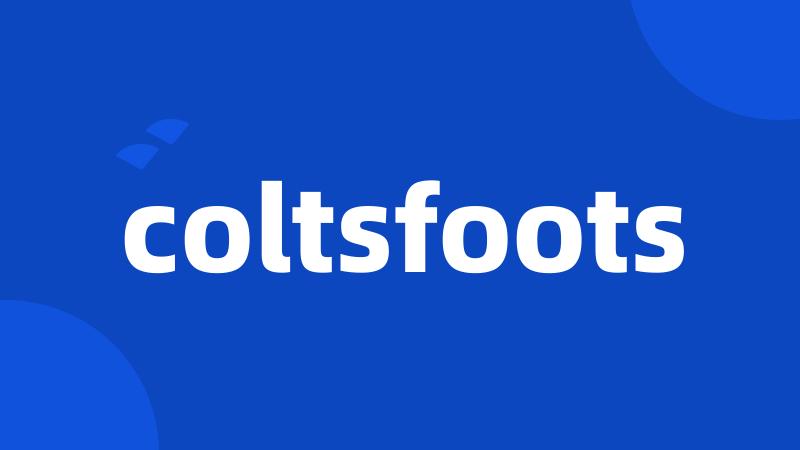 coltsfoots