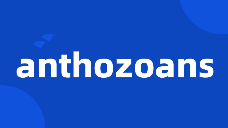 anthozoans