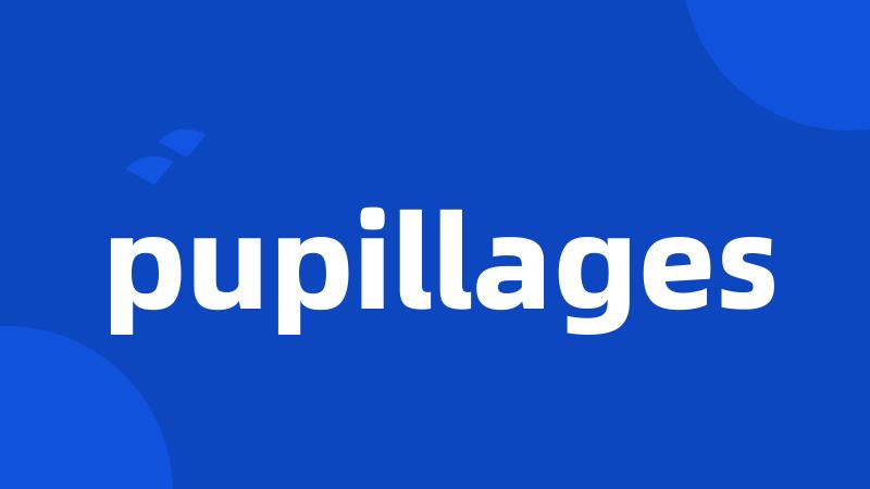 pupillages