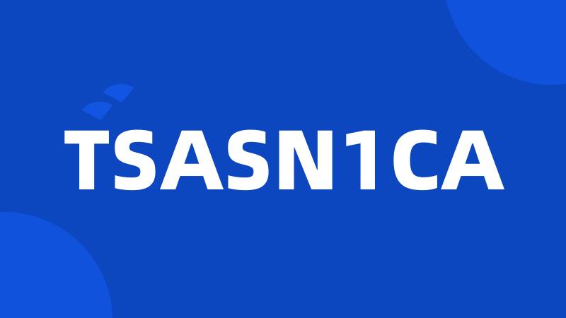 TSASN1CA