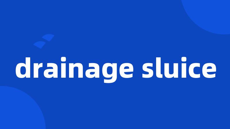 drainage sluice
