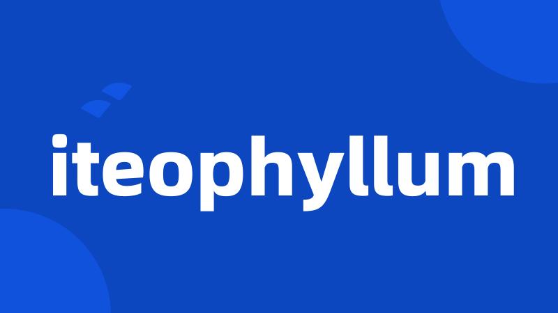 iteophyllum