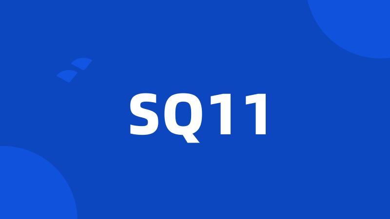 SQ11