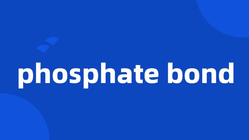 phosphate bond