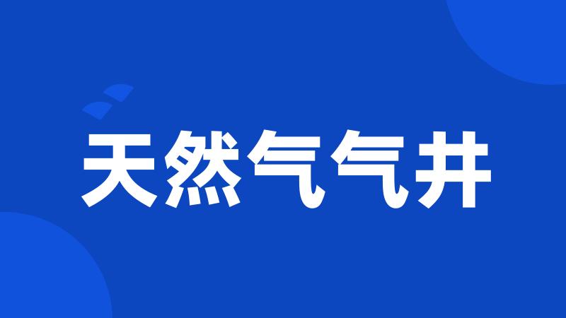 天然气气井