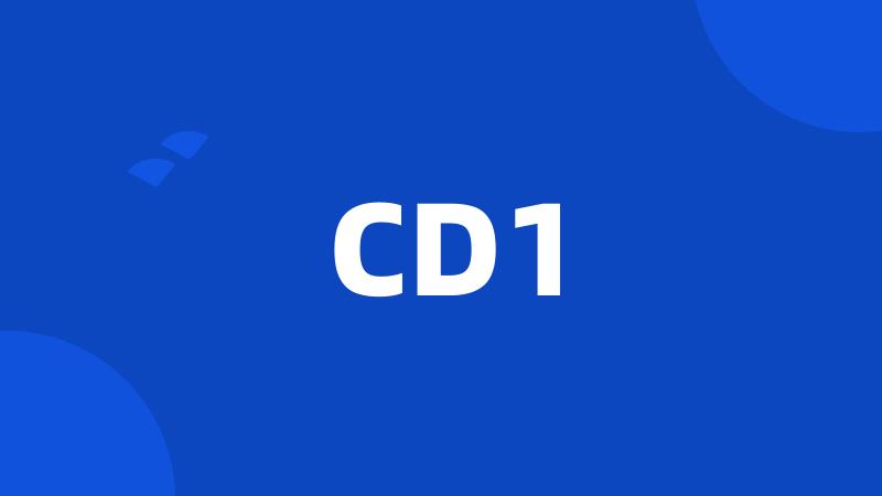 CD1