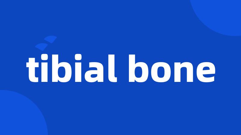 tibial bone