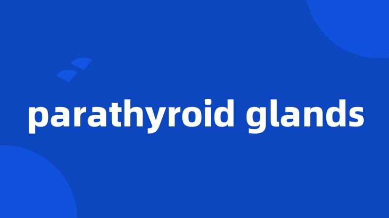 parathyroid glands