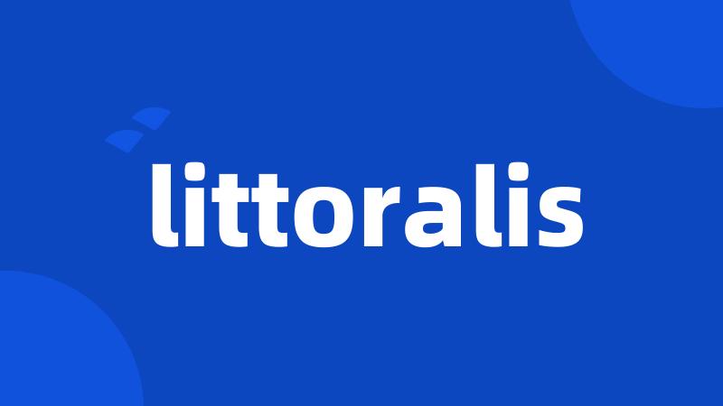 littoralis