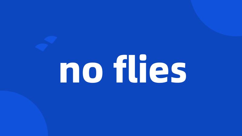 no flies